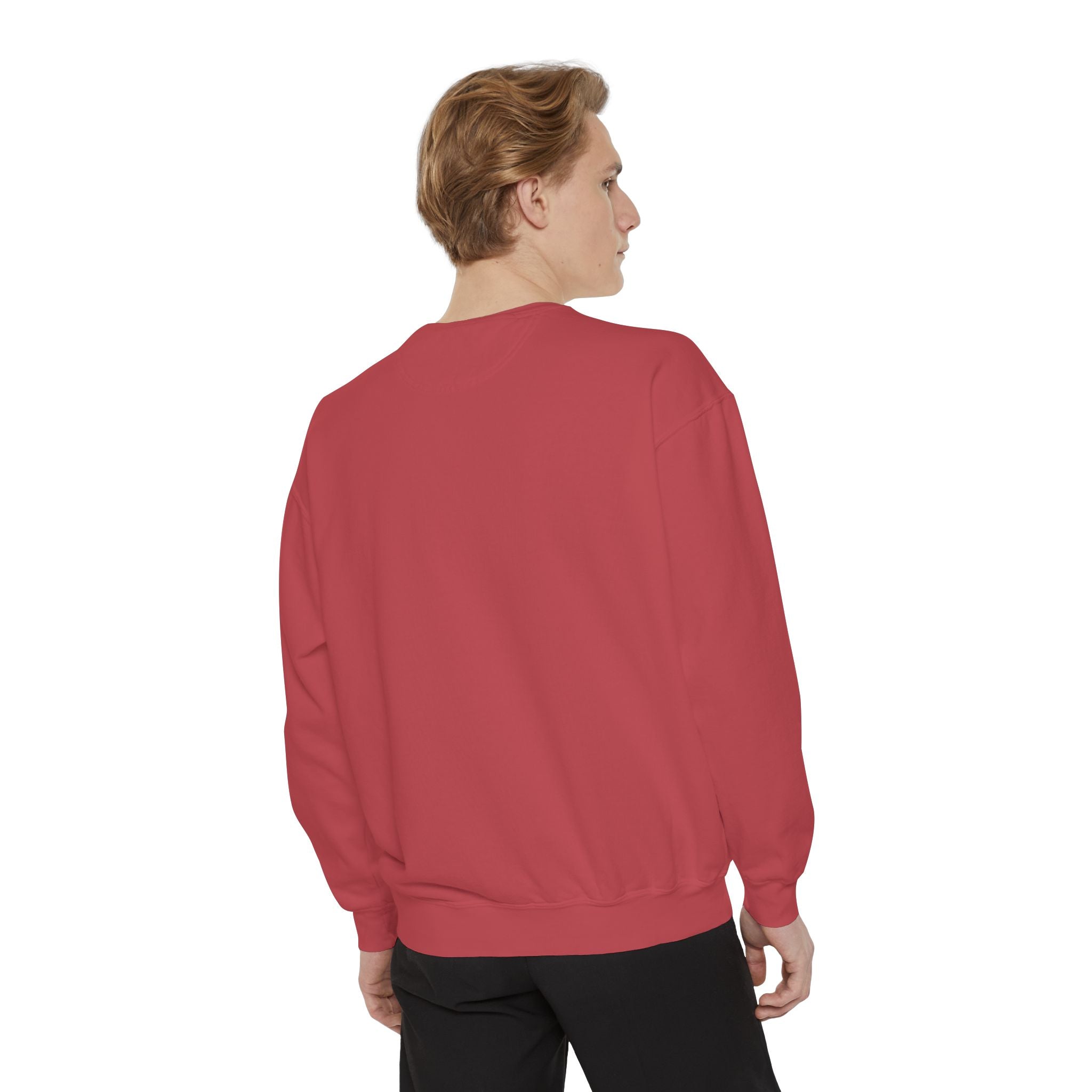 Crab Sweatshirt — "A Little Crabby" Garment-Dyed Crewneck