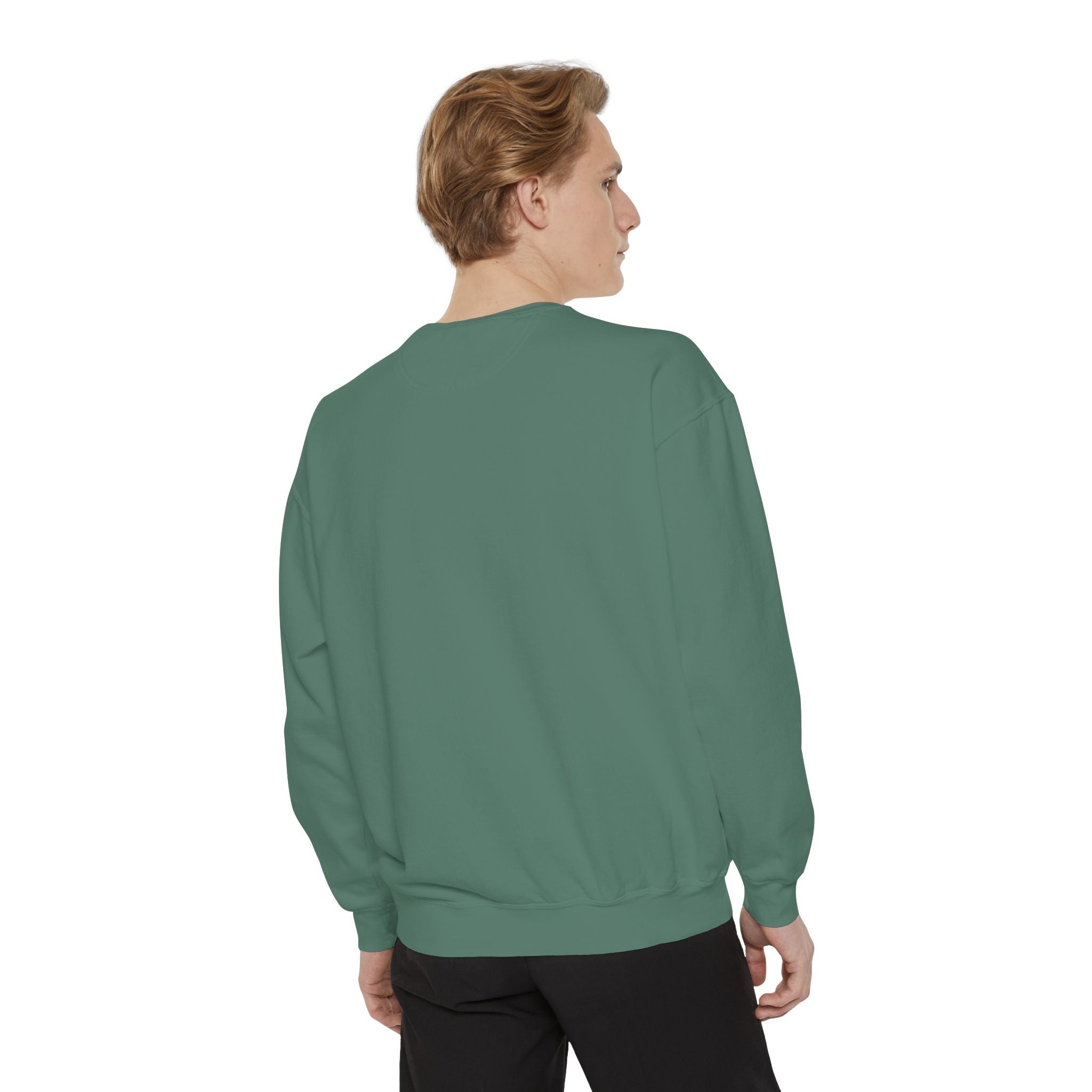 Crab Sweatshirt — "A Little Crabby" Garment-Dyed Crewneck