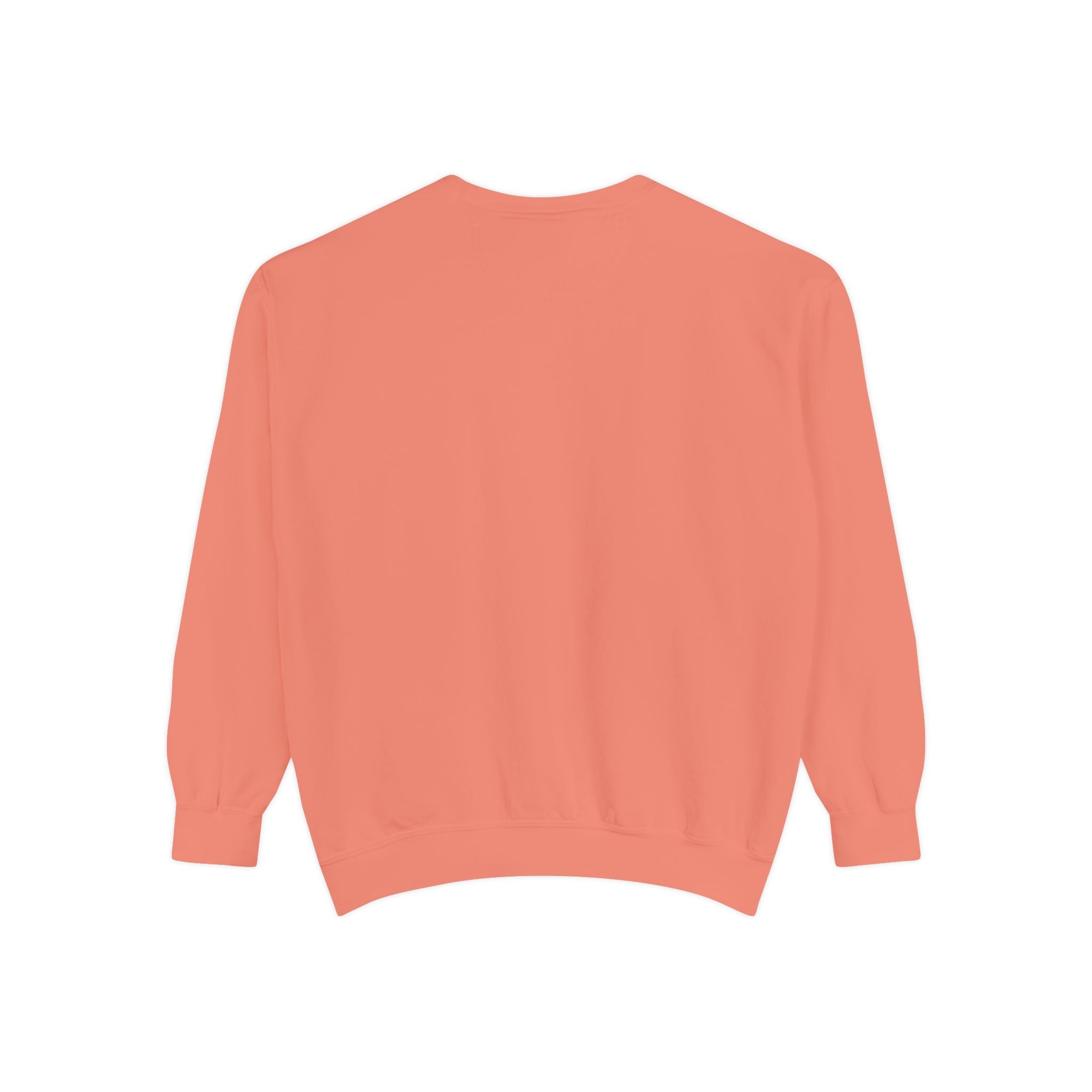Crab Sweatshirt — "A Little Crabby" Garment-Dyed Crewneck